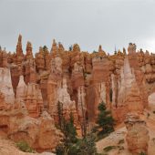  Bryce Canyon